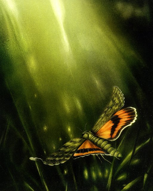 3623822_Friedrich_Hechelmann15 (513x640, 76Kb)