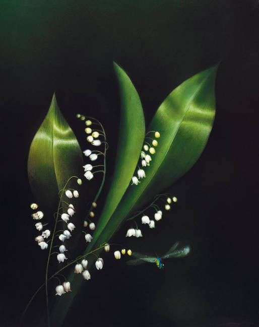 3623822_f1 (514x649, 25Kb)
