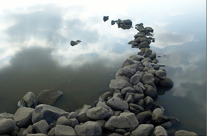 4826692_Brand (700x462, 183Kb)