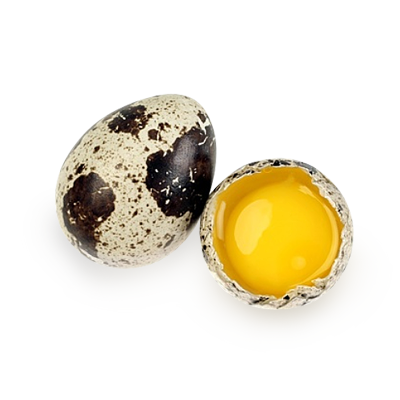 1325868715_quail-egg (400x400, 138Kb)