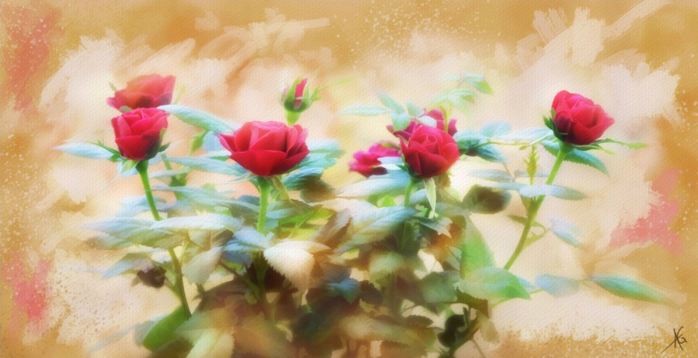 14 (700x358, 417Kb)