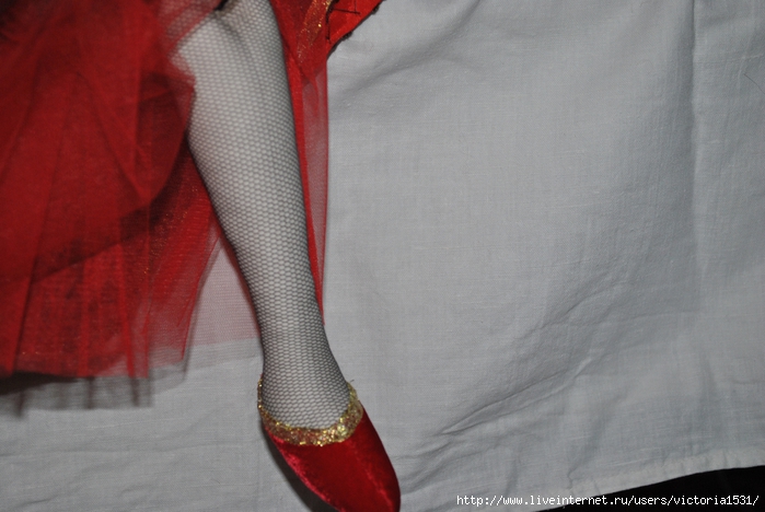 DSC_0260 (700x468, 217Kb)