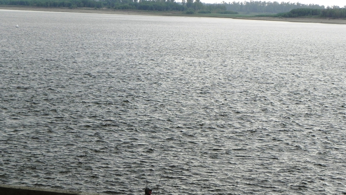 DSCN6970 (700x393, 251Kb)