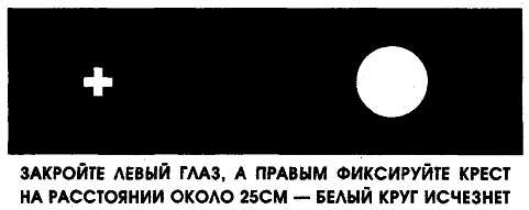 Закрой левое. Закрой левый глаз. Прикройте рукой левый глаз. Закрыть левый глаз. Закрой левый глаз карточка.