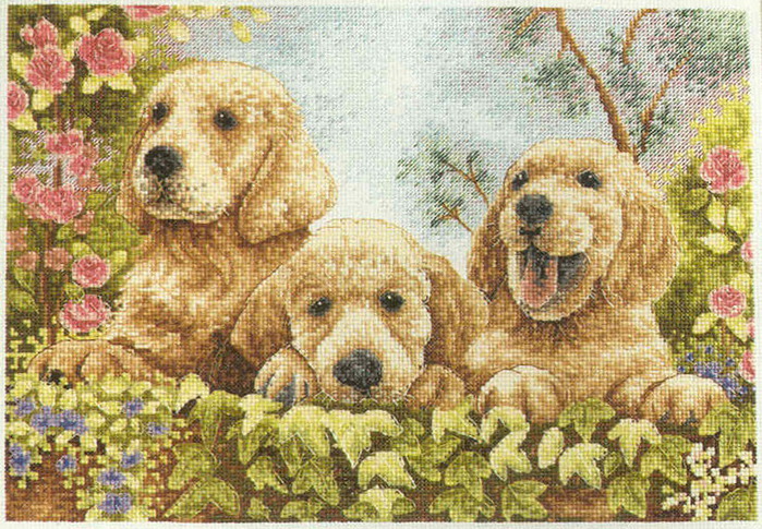Puppies - pic (700x485, 193Kb)