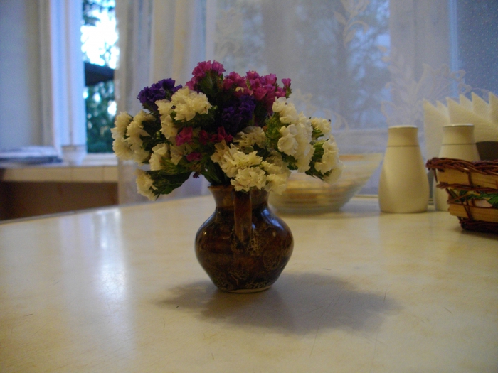 1489412_IMGP6287 (700x525, 246Kb)