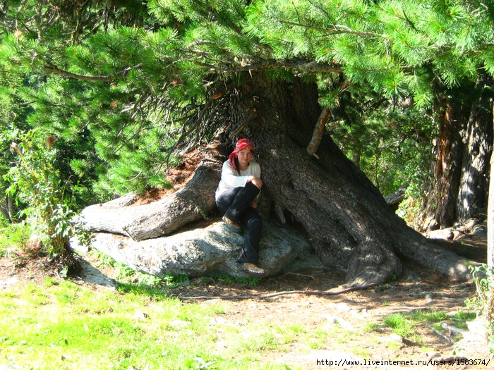 IMG_0807 (700x525, 488Kb)