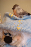 DSC01538 (466x700, 211Kb)