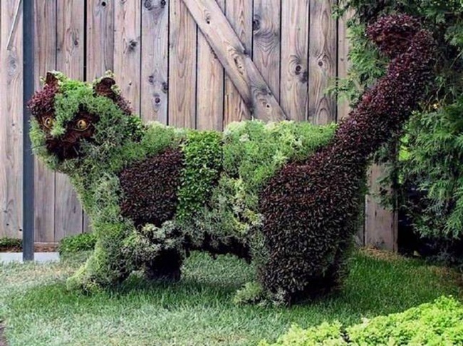 topiary-animals-04 (650x485, 162Kb)