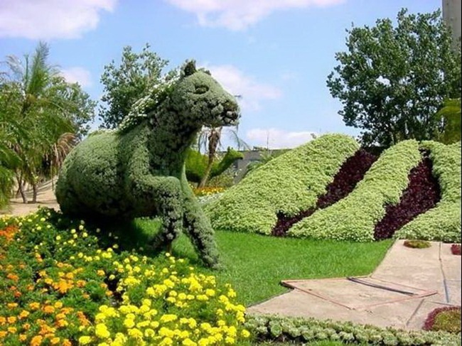 topiary-animals-11 (650x487, 150Kb)