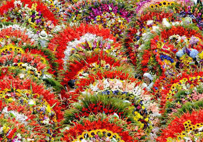 the-flower-festival (650x457, 370Kb)