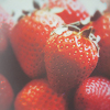 4494124_90002446_1343878869_tumblr_m25cyldG9F1r8qfkmo1_500 (100x100, 28Kb)
