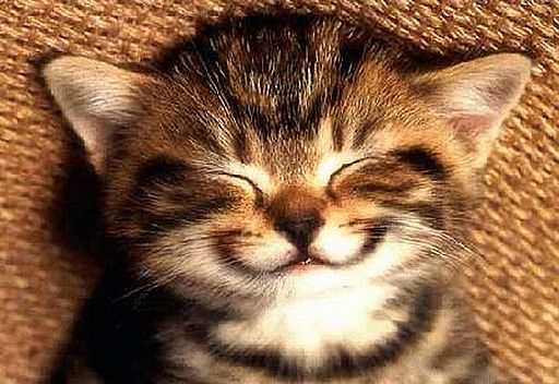 smile (512x352, 49Kb)