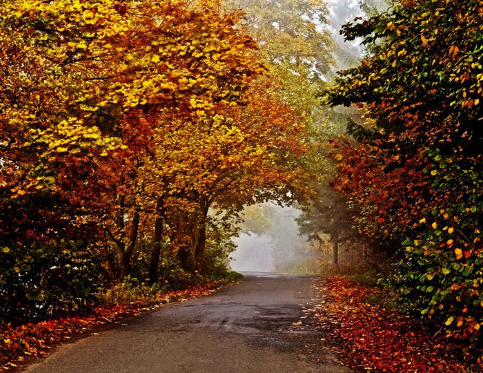 36 (700x540, 233Kb)