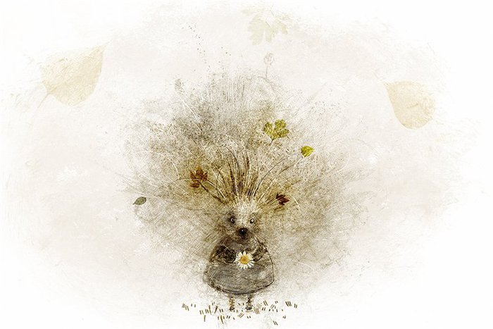 3623822_p30 (700x467, 56Kb)