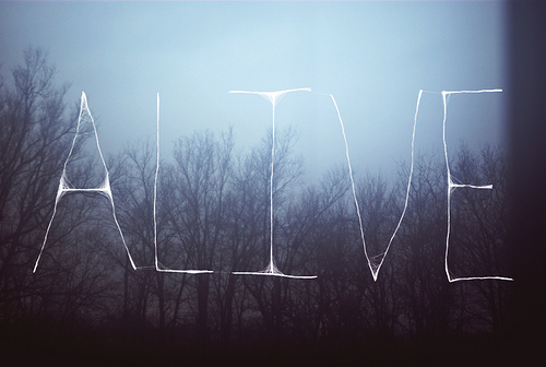 tumblr_ll2q75m1NU1qamhdvo1_500 (500x336, 69Kb)