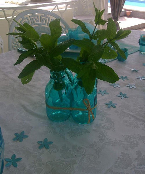turquoise-inspiration-table-setting3-10 (500x600, 77Kb)