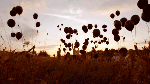 3105892473_1_5_2RnPmpCi_large (500x281, 498Kb)