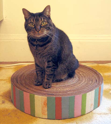 recycled-cardboard-cat-pad (475x527, 31Kb)