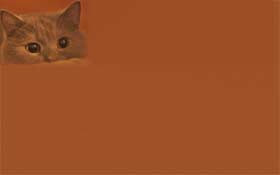 - (280x175, 1Kb)