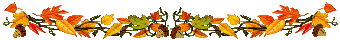 3643cb47b38c (340x40, 7Kb)