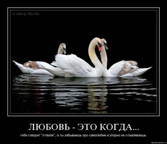 -Lyubov-5 (555x480, 38Kb)