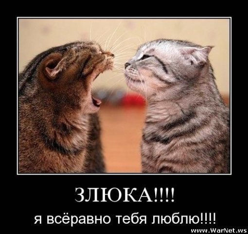 -Lyubov-164 (510x480, 47Kb)