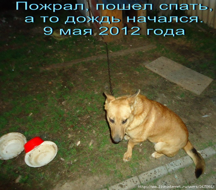    (700x616, 291Kb)