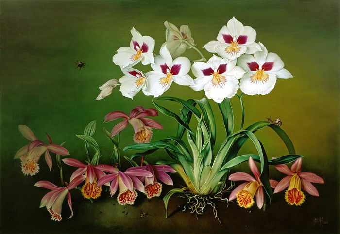 ORCHIDS 46x66 cms Oil on panel 2000 copy (700x483, 90Kb)