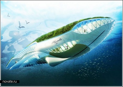 whaleparis2 (470x334, 37Kb)