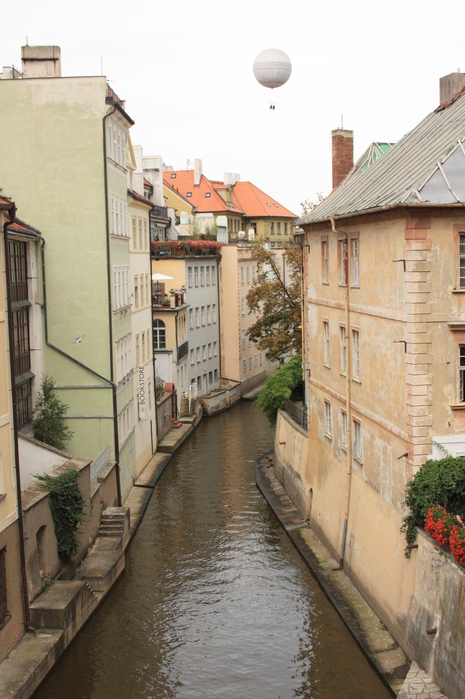 IMG_9622 (465x700, 227Kb)