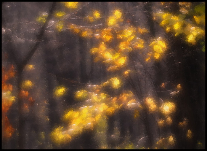 Avgust_XX (700x509, 114Kb)