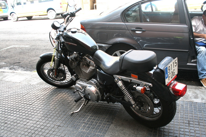 IMG_0263 (700x465, 219Kb)