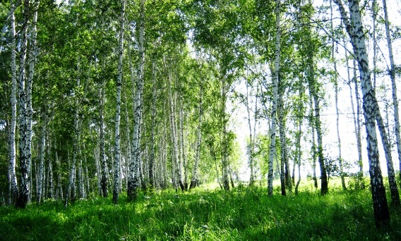 с днем рождения малая родина картинки. Смотреть фото с днем рождения малая родина картинки. Смотреть картинку с днем рождения малая родина картинки. Картинка про с днем рождения малая родина картинки. Фото с днем рождения малая родина картинки