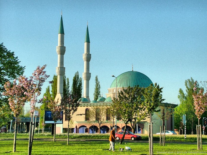 Mevlana-Mosque-in-Rotterdam-Netherlands-960x720 (1) (700x525, 147Kb)