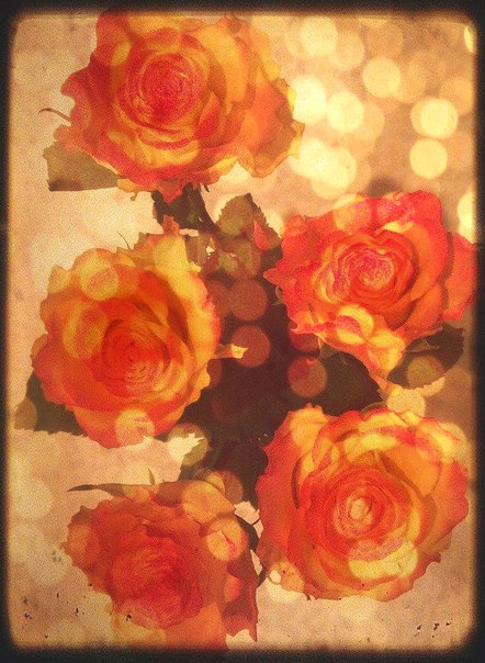 1489412_mal (442x604, 79Kb)