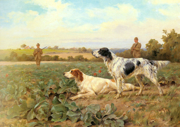 Hunting_Thomas Blinks_In The Field, Shooting (700x492, 149Kb)