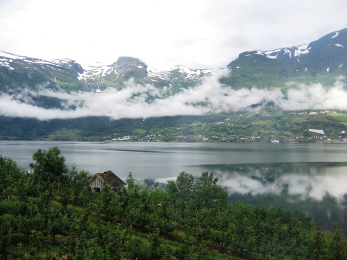 3649705_Hardanger_742 (700x525, 101Kb)