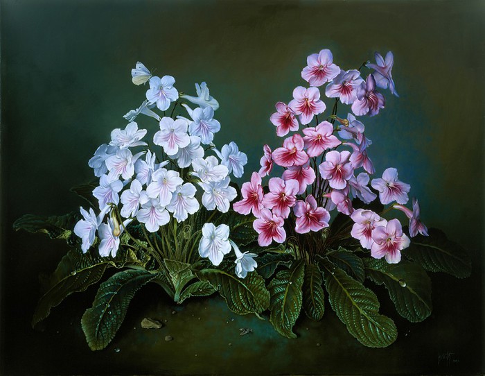 CAPE PRIMROSES 51x66 cms Oil on canvas 1998 (700x542, 99Kb)