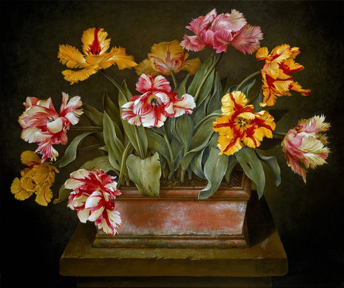 MIXED PARROT TULIPS IN CLAY POT 66x76 cms oil on canvas on panel 1993(1) (700x586, 119Kb)