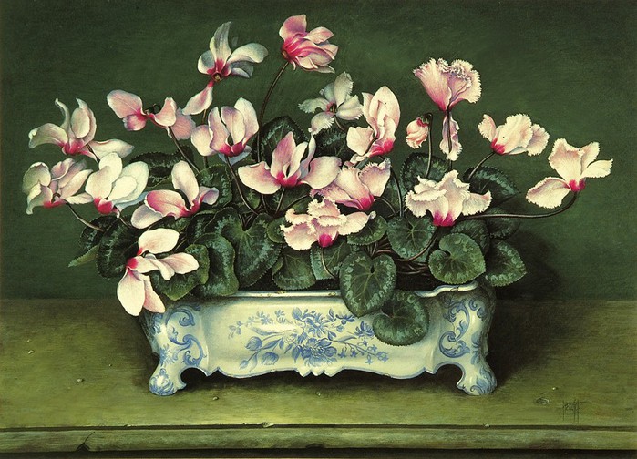 PALE PINK CYCLAMEN IN BLIE AND WHITE TROUGH61x81Gouache1989 (700x504, 123Kb)