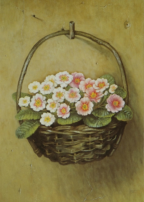 PINK POLYANTHUS HANGING FROM A WALL63x46 cms Gouache1989 (497x700, 263Kb)