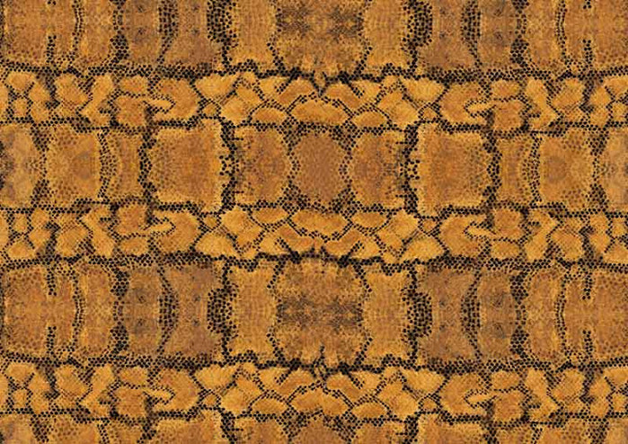 44-Pythonbig (700x494, 229Kb)