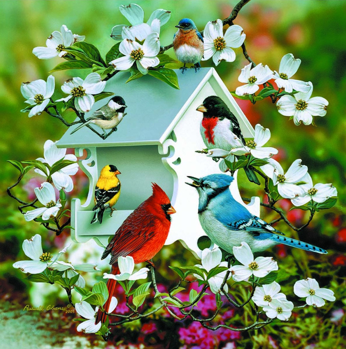 giclee-birdhouse-birds (693x700, 652Kb)