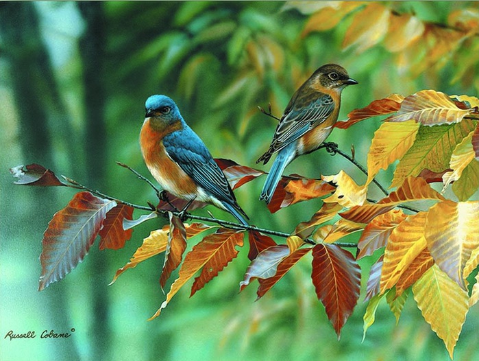 giclee-bluebirds-leaves (700x526, 128Kb)