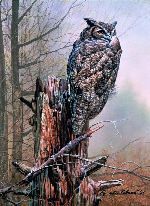 GREAT HORNED OWL 8X11 (512x700, 321Kb)