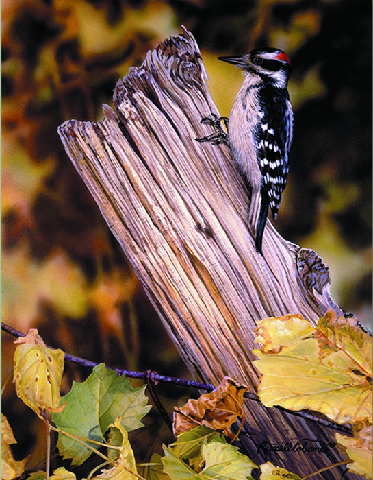 LOOKING FOR DINNER 8X10 (545x700, 548Kb)