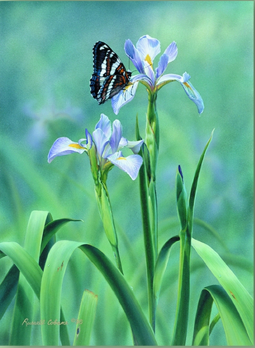 SPRING GLORY 9X13 (512x700, 232Kb)