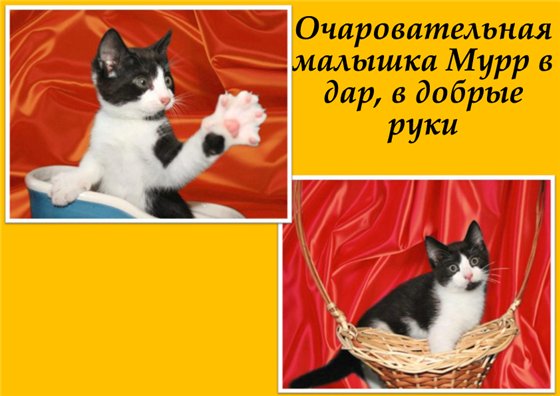  (560x396, 48Kb)