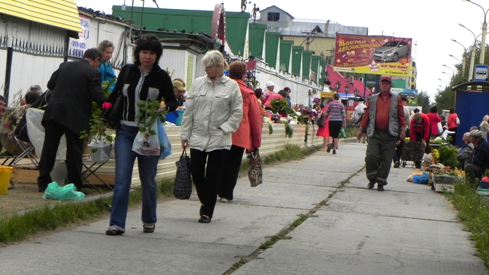 DSCN7033 (700x393, 224Kb)